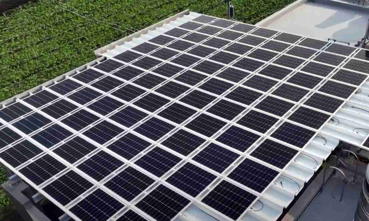 壹号平台SunSteel光电浪板升级双玻结构，，，以提升机械负载强度及气候耐候度，，，可广泛运用于多元场域