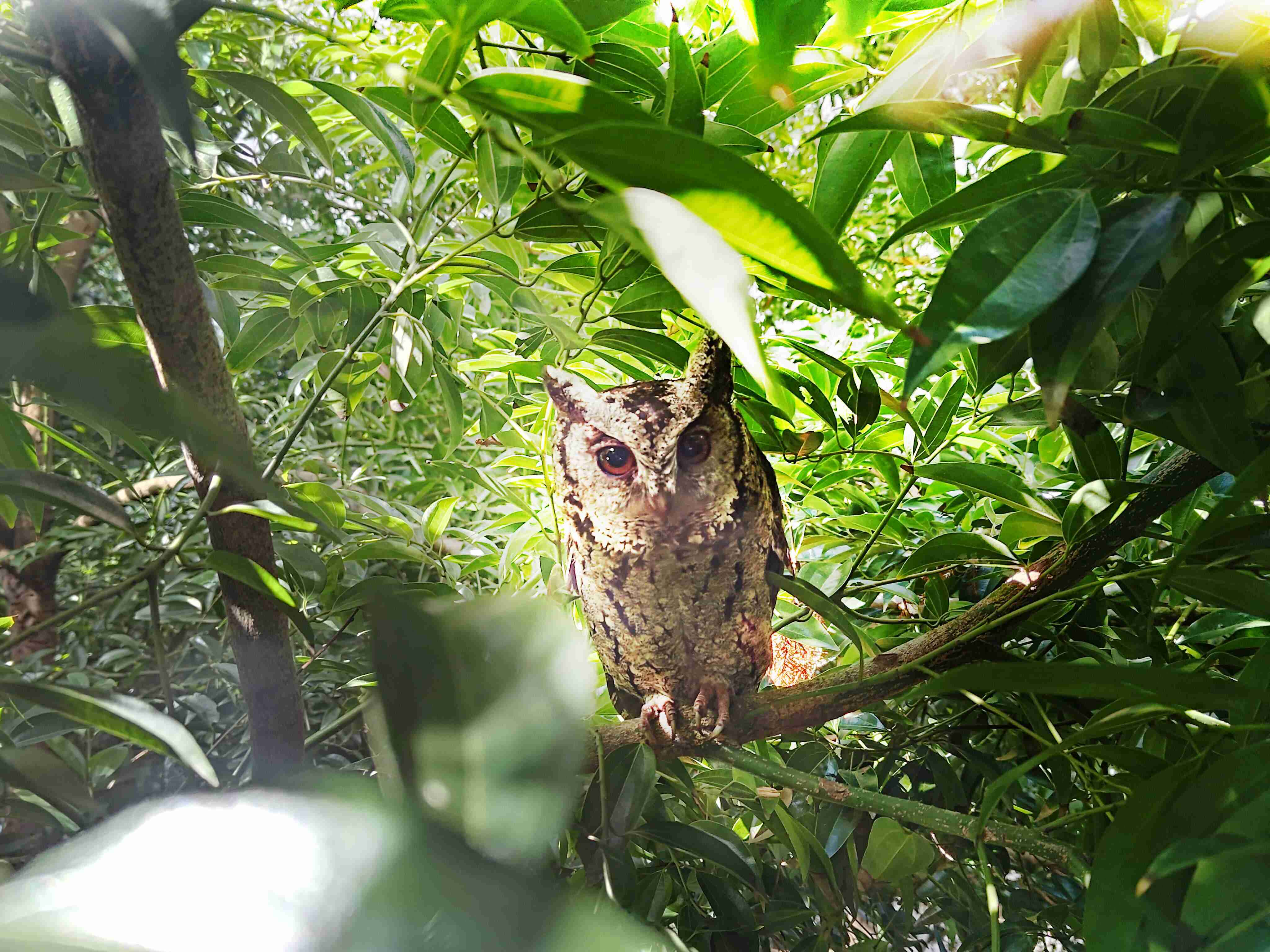 壹号平台致力提倡净零绿生活，，，16年以来在全球各厂区植树逾百万棵，，造就各厂区树木蔚然成林，，，犹如森林工厂，，，，成为许多生物的栖息地